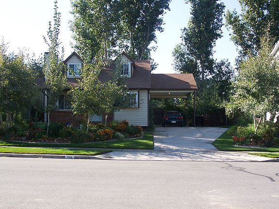  Yard In Summer