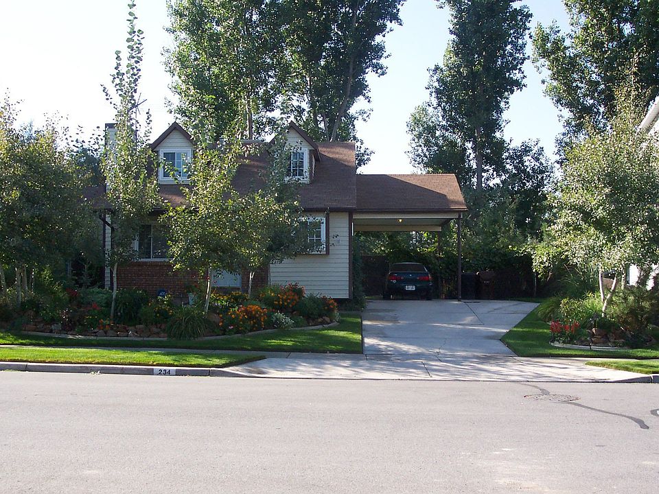  Yard In Summer