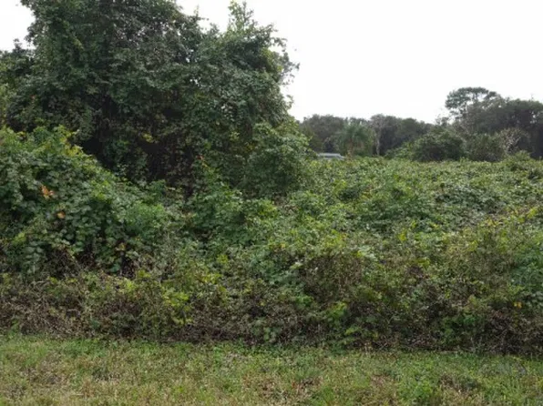 3212 Teal Ave, Lake Placid, FL 33852