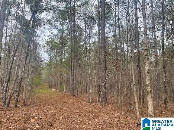 3rd image of 2505 County Road 632