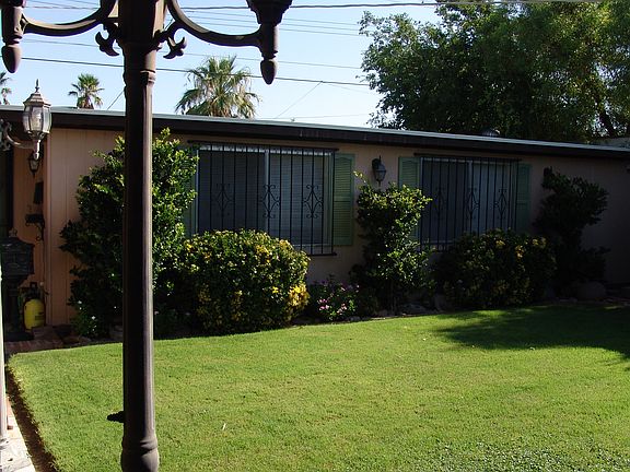 Rear Landscape