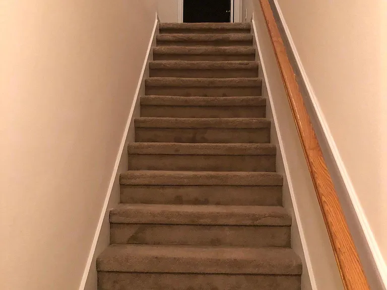 6824 Lake Mist Ln — Photo 17