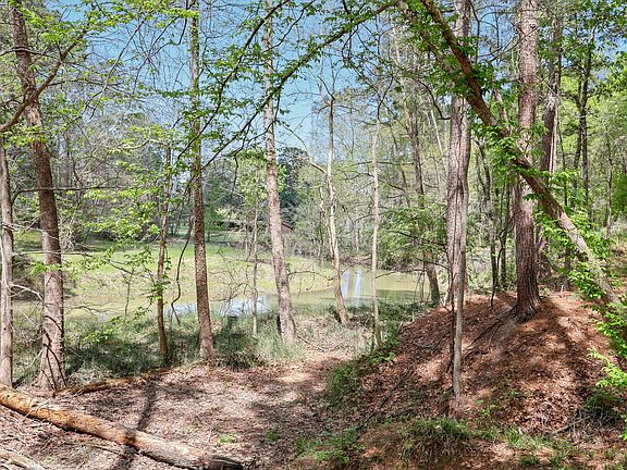 4th image of 0 Harrell Cemetery Rd Lot 4 & 5