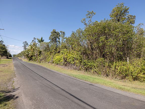 2nd image of Hibiscus St Lot 7349