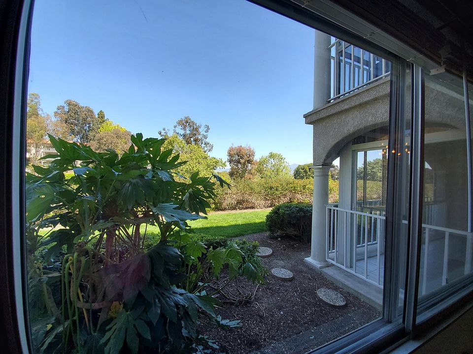 View from Living Room