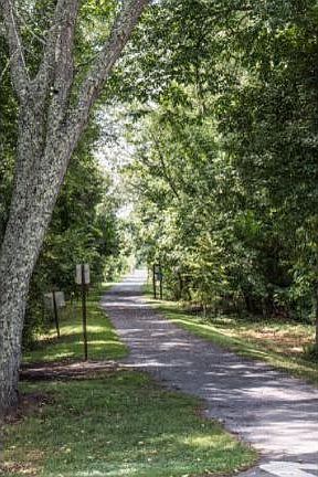 5th image of 371 Winterham Dr