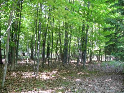 Summit Drive Lake Bluff Estate 6 LOT 365, Gladstone, MI, 49837