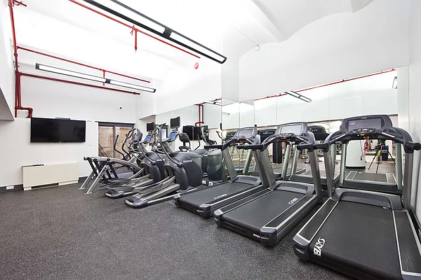 Rented by Bold New York | media 8