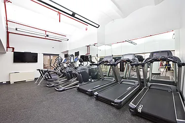 Rented by Bold New York