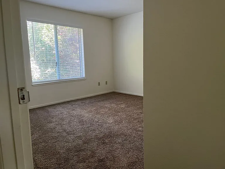 234 Soscol Ave — Photo 6