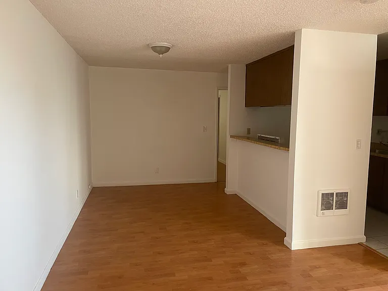 Living room/dining room area