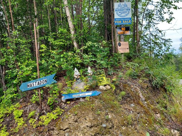 20499 E Rampart Loop, Talkeetna, AK 99676