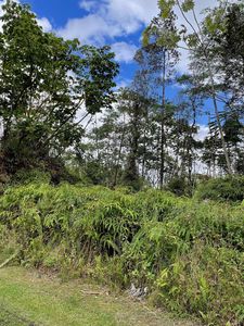 Cameo Cir, Pahoa, HI, 96778