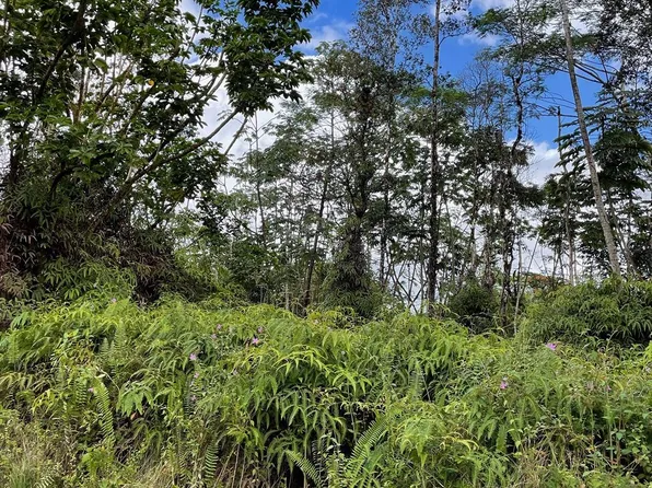 Cameo Rd Lot 278, Pahoa, HI 96778