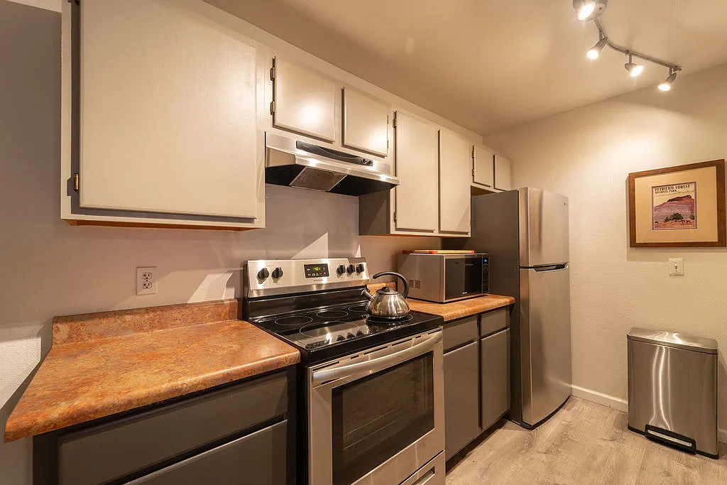 Studio, 459 sqft, $1,450 — Photo 3