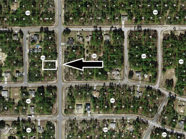 10940 N G Martinelli Blvd, Citrus Springs, FL 34433