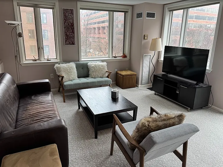 Sun-filled living room featuring brand-new 2025 windows and plush carpet.