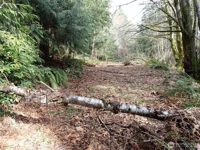 3450 Teal Lake Road, Pt Ludlow, WA, 98365
