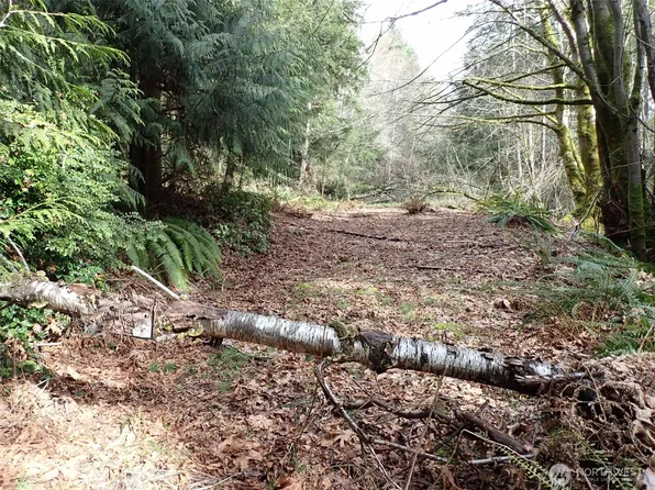 3450 Teal Lake Road, Port Ludlow, WA 98365