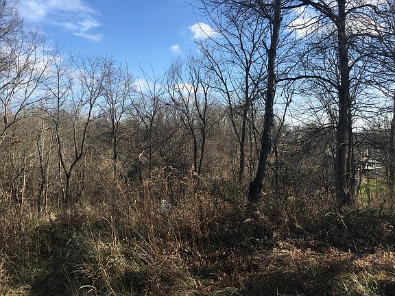 5th image of 20423 Rosemeade Dr
