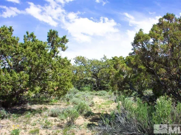 01078D027 Near Roaring Fork Rd, Wells, NV 89835