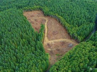 0 Xx Rue Creek Rd, Raymond, WA 98577