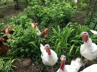 23 Huntington St, Saint Albans, VT 05478