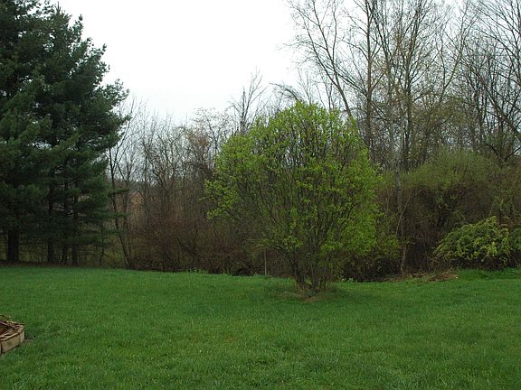 View from the front porch