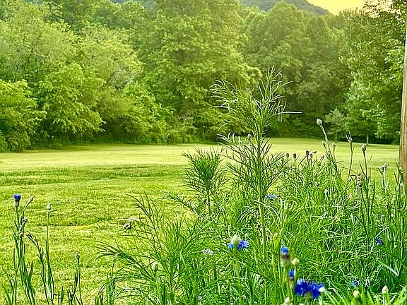3.5 acre tract with mtn view