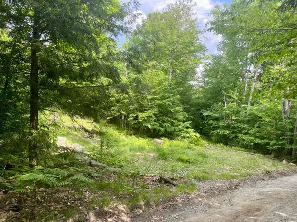 Lot 15A-1 Scammon Road, Greenville, ME 04441