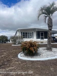 7443 Morelli Ave, Brooksville, FL, 34613