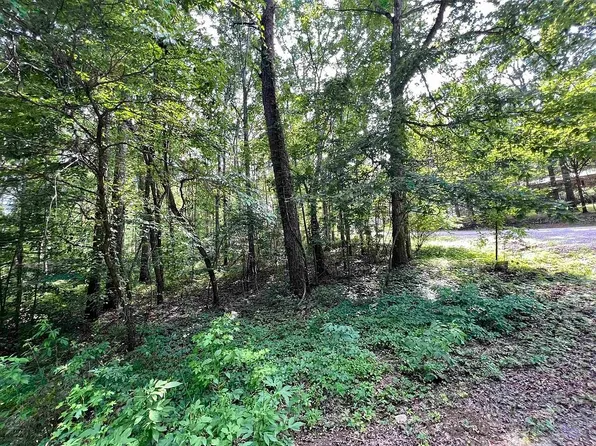 0 Lance Rd, Savannah, TN 38372