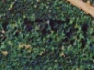 719 Lyons Hill Rd, Homer, LA 71040