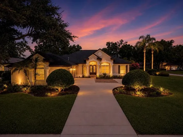 6105 Audubon Manor Blvd, Lithia, FL 33547