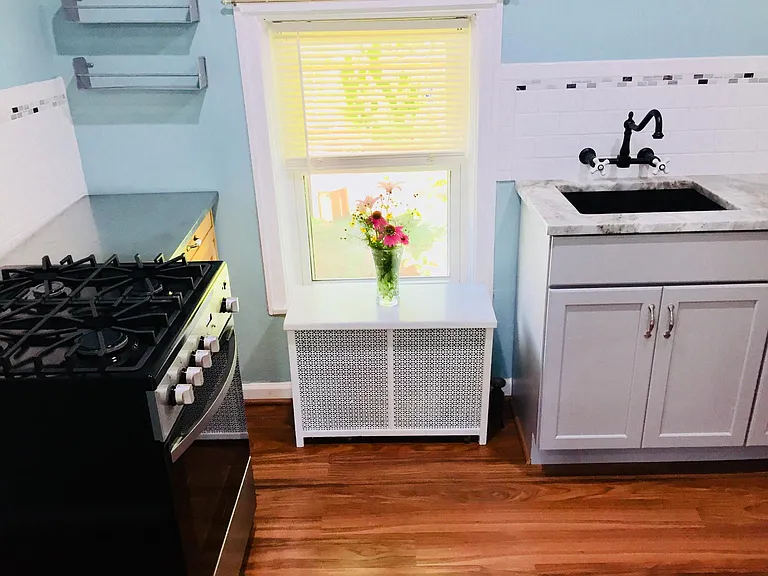 Gas Stove