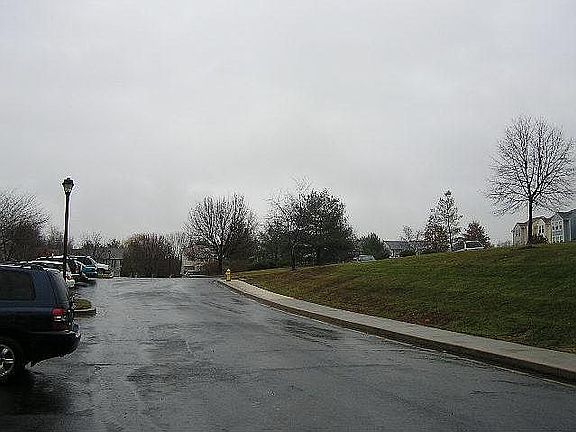 Street