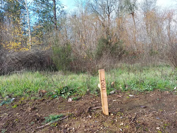 1302 Golf Club Dr, Cave Junction, OR 97523