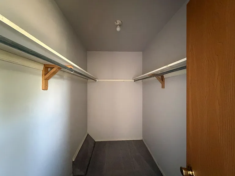 186 White Dogwood Dr — Photo 13