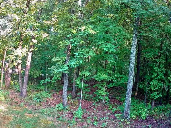 0 Lakeview Dr #188, Spring City, TN 37381