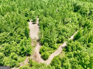 0 Roddy Hwy, Eastman, GA 31023