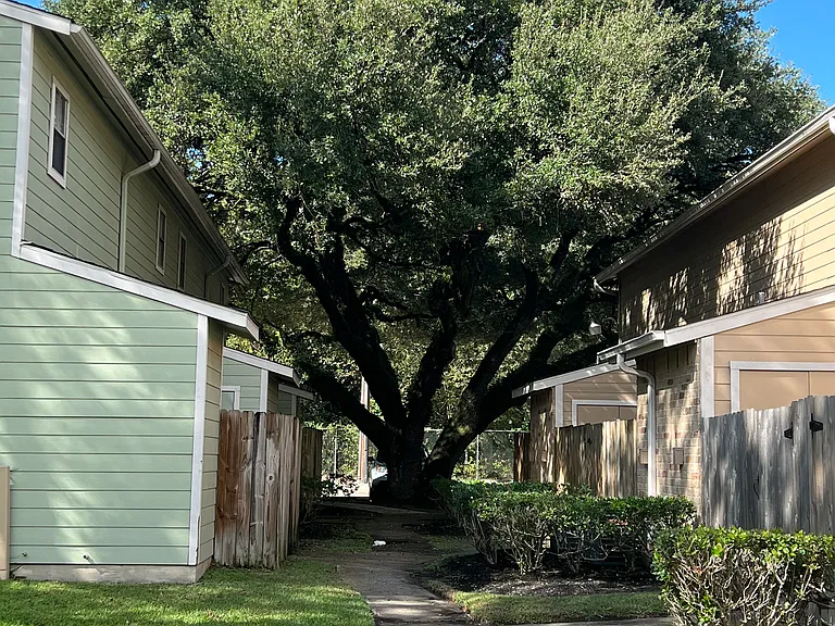 Cypresswood Crossing Apartments — Photo 6