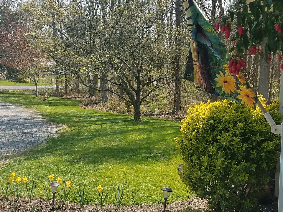 2nd image of 371 Pierson Rd