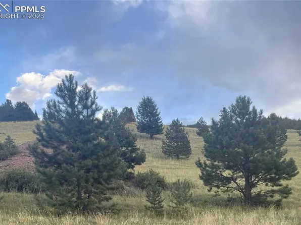 878 Anges Dr, Cripple Creek, CO 80813