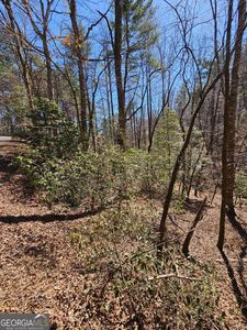 0 Etowah Dr, Ellijay, GA, 30540