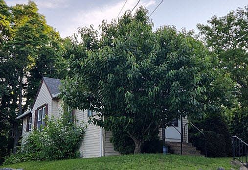 4th image of 49 Woodbine St