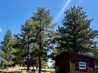 1176 Trail Creek Rd, Lake George, CO 80827