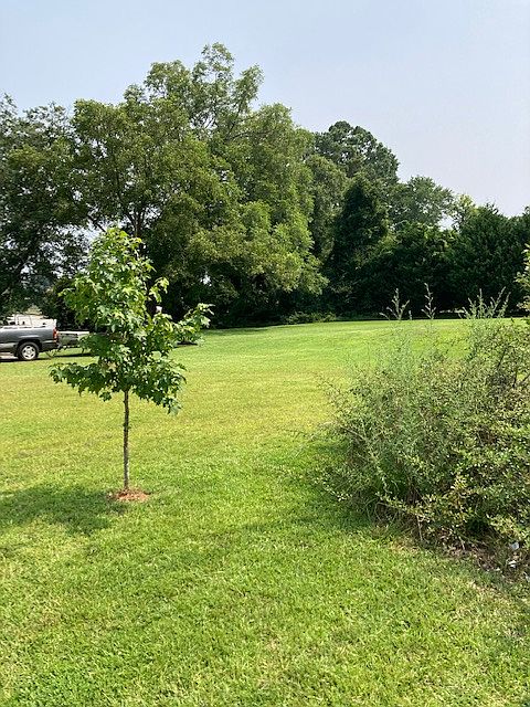 1st image of 302 Bleckley St