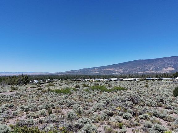 5th image of LOT 10 Timber Rd