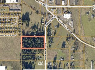 0 Morris Rd SE, Yelm, WA 98597