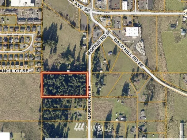 0 Morris Road SE, Yelm, WA 98597